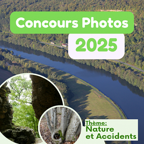 Lire la suite à propos de l’article Concours FLORE 54 – 2025