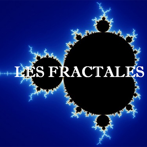 Lire la suite à propos de l’article Jeudi 11 Juin 2026